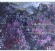 Rachmaninov - Variations And Piano Transcriptions Rachmaninov - Variations And Piano Transcriptions