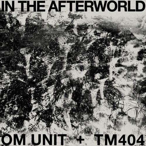 Om Unit + Tm404 - In The Afterworld