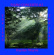 Wayne Hayden - Piano Concerto #2: The Jazz Wayne Hayden - Piano Concerto #2: The Jazz