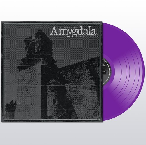 Amygdala - Our Voices Will Soar Forever