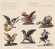Forqueray A. & J.-B. - Antoine & Jean-Baptiste Forqueray - Forqueray A. & J.-B. - Antoine & Jean-Baptiste Forqueray -