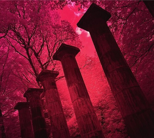 Arc - Chronicle