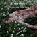 Ritualmord - This Is Not Lifelover Ritualmord - This Is Not Lifelover
