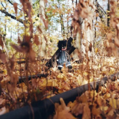 Billy Woods - Golliwog (Ltd Cd)