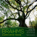 Johannes Brahms - Complete Trios Johannes Brahms - Complete Trios