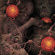 Various Artists - Sheol 4-Way Split Various Artists - Sheol 4-Way Split