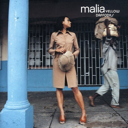 Malia - Yellow Daffowdils