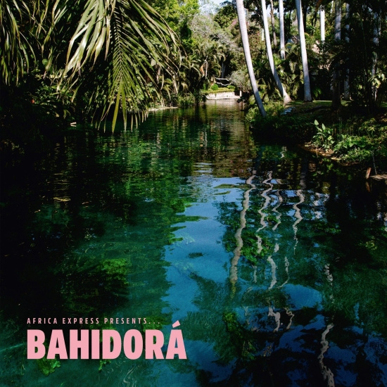Africa  Express - African Express Presents... Bahidor