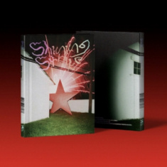 Shin In Ryu - Shining Strike