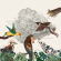Friendly Rich - The Birds Of Marsville Friendly Rich - The Birds Of Marsville