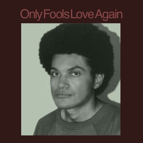 Ayala Danny - Only Fools Love Again
