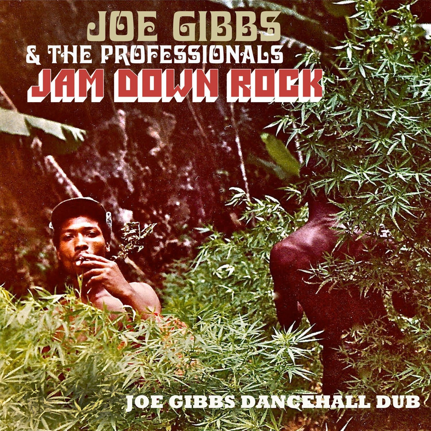 Joe Gibbs And The Professionals - Jam Down Rock - Joe Gibbs Dancehall