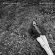 Michael Marcagi - Midwest Kid Michael Marcagi - Midwest Kid