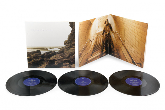 Polygon Window (Aka Aphex Twin) - Surfing On Sine Waves (Expanded 3LP Edition)