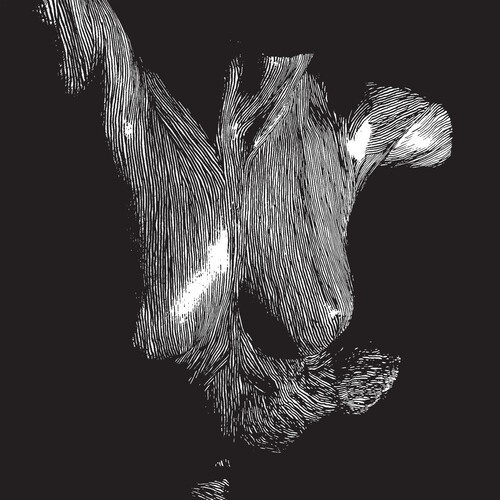 Oceansize - Self-Preserved While The Bodies Flo