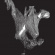 Oceansize - Self-Preserved While The Bodies Flo Oceansize - Self-Preserved While The Bodies Flo