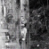 Spiralteeth - Pain And Solace Spiralteeth - Pain And Solace