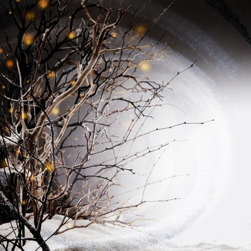 Winterlight - Winterlight