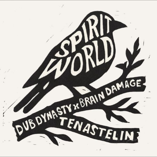 Dub Dynasty Brain Damage Tenastel - Spirit World