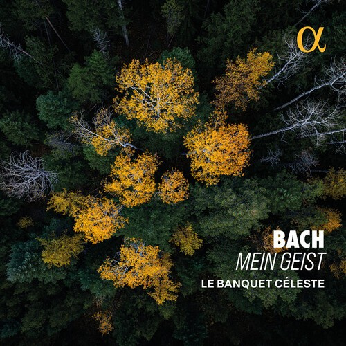 Bach J S - Mein Geist