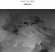 Jane In Ether - Oneiric Jane In Ether - Oneiric