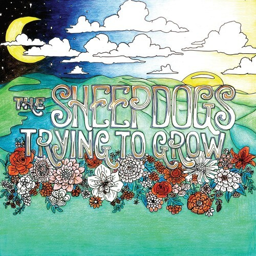 Sheepdogs The - Trying To Grow