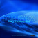 Daniel Grabois - Water Names Daniel Grabois - Water Names