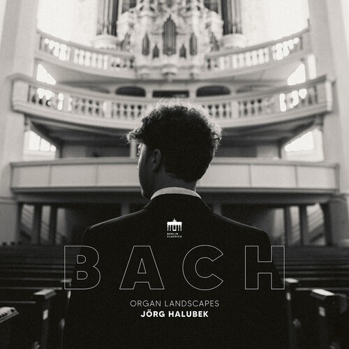 Bach J S - Organ Landscapes