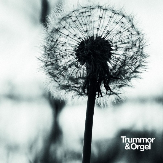 Trummor & Orgel - Graceful Degradation / New Beginnin