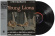 The Young Lions - The Young Lions The Young Lions - The Young Lions