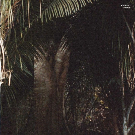 Acid Pauli - Urwald