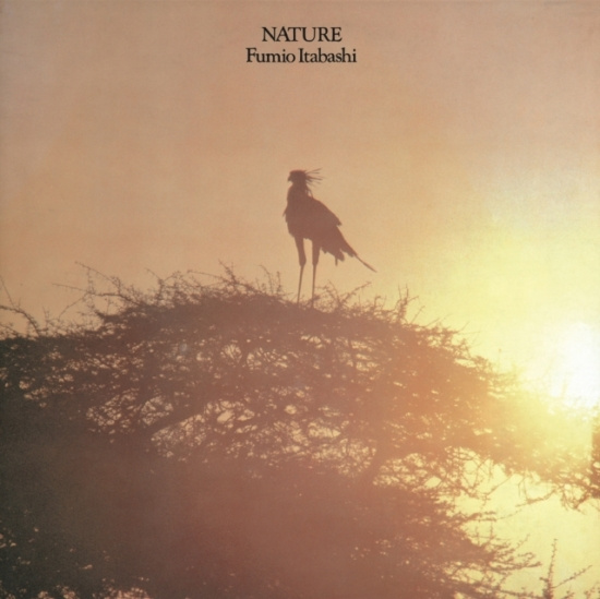 Fumio Itabashi - Nature