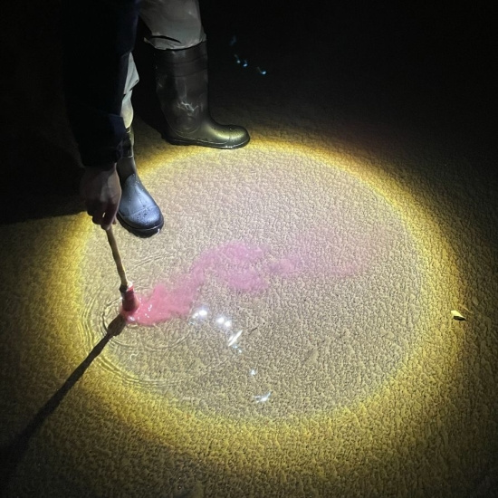 Diles Que No Me Maten - Escrito En Agua (Ltd. Sangre Luz Vi