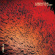 Corella - A Beautiful World To Lose Corella - A Beautiful World To Lose