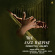 Dorothy Ashby - The Jazz Harpist Dorothy Ashby - The Jazz Harpist