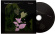 Daniel Lanois - Belladonna Nocturne Daniel Lanois - Belladonna Nocturne