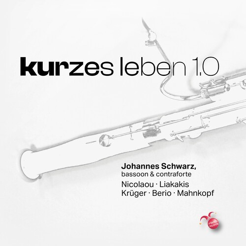 Johannes Schwarz - Kurzes Leben 1.0