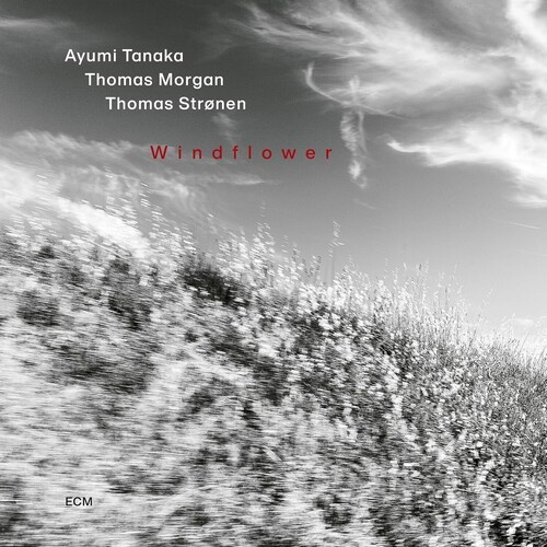 Ayumi Tanaka Thomas Morgan Thomas - Windflower