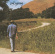 Neil Young - Old Ways Neil Young - Old Ways