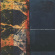 Ivo Perelman & Nate Wooley - Polarity 2 Ivo Perelman & Nate Wooley - Polarity 2