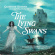 De Oliveira Gloria - Lying Swans The De Oliveira Gloria - Lying Swans The
