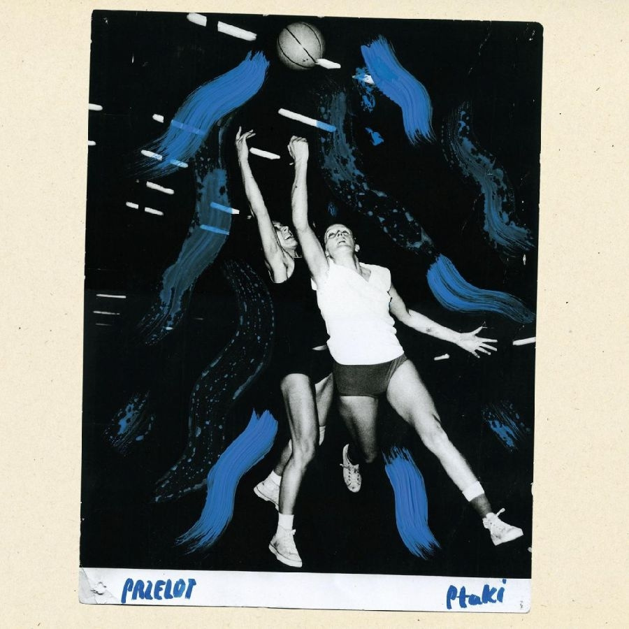 Ptaki - Przelot