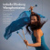 Effenberg Izabella - Vibraphonissimo Effenberg Izabella - Vibraphonissimo