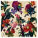 Washed Out - Paracosm Washed Out - Paracosm