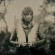 Arthur Joseph - Ballad Of Boogie Christ Arthur Joseph - Ballad Of Boogie Christ