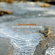 Einarsdotter Elise - Shimmer (Featuring Rigmor Gustafsso Einarsdotter Elise - Shimmer (Featuring Rigmor Gustafsso