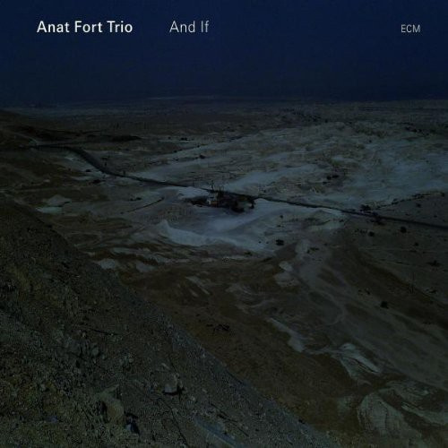 Anat Fort Trio - And If