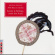 Various Artists Folk Music - Chorales & Wedding Music From Runö Various Artists Folk Music - Chorales & Wedding Music From Runö