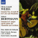 Weiss/Hoffmann - Sonatas For Flute And Mandolin Weiss/Hoffmann - Sonatas For Flute And Mandolin