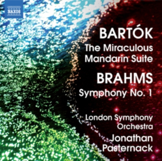Brahms - Symphony No 1